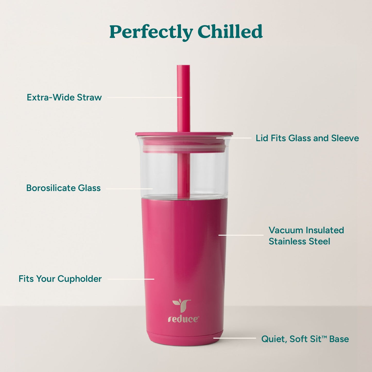 aspen-20-oz-p7 Aspen_Dragonfruit_PDP_Infographic2.jpg