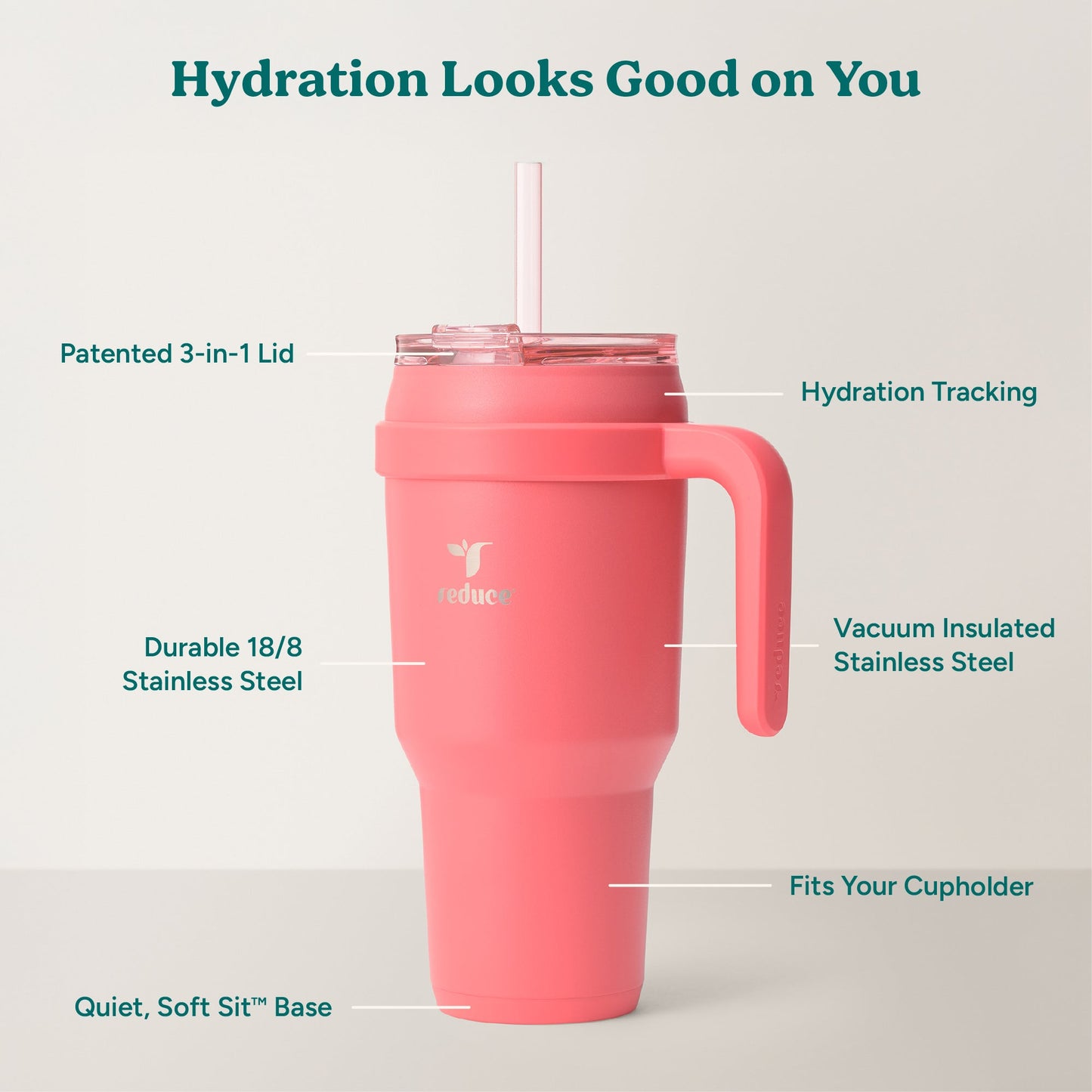 cold1-40-oz-c8 Cold1_40oz_Daiquiri_Infographic_2.jpg