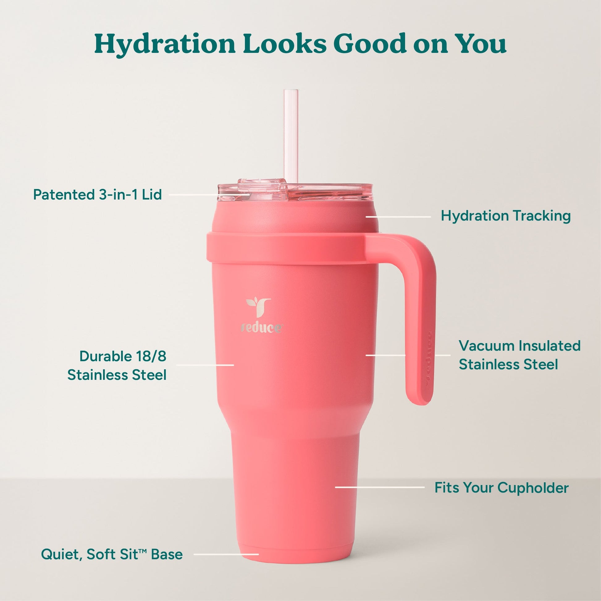 cold1-40-oz-c8 Cold1_40oz_Daiquiri_Infographic_2.jpg