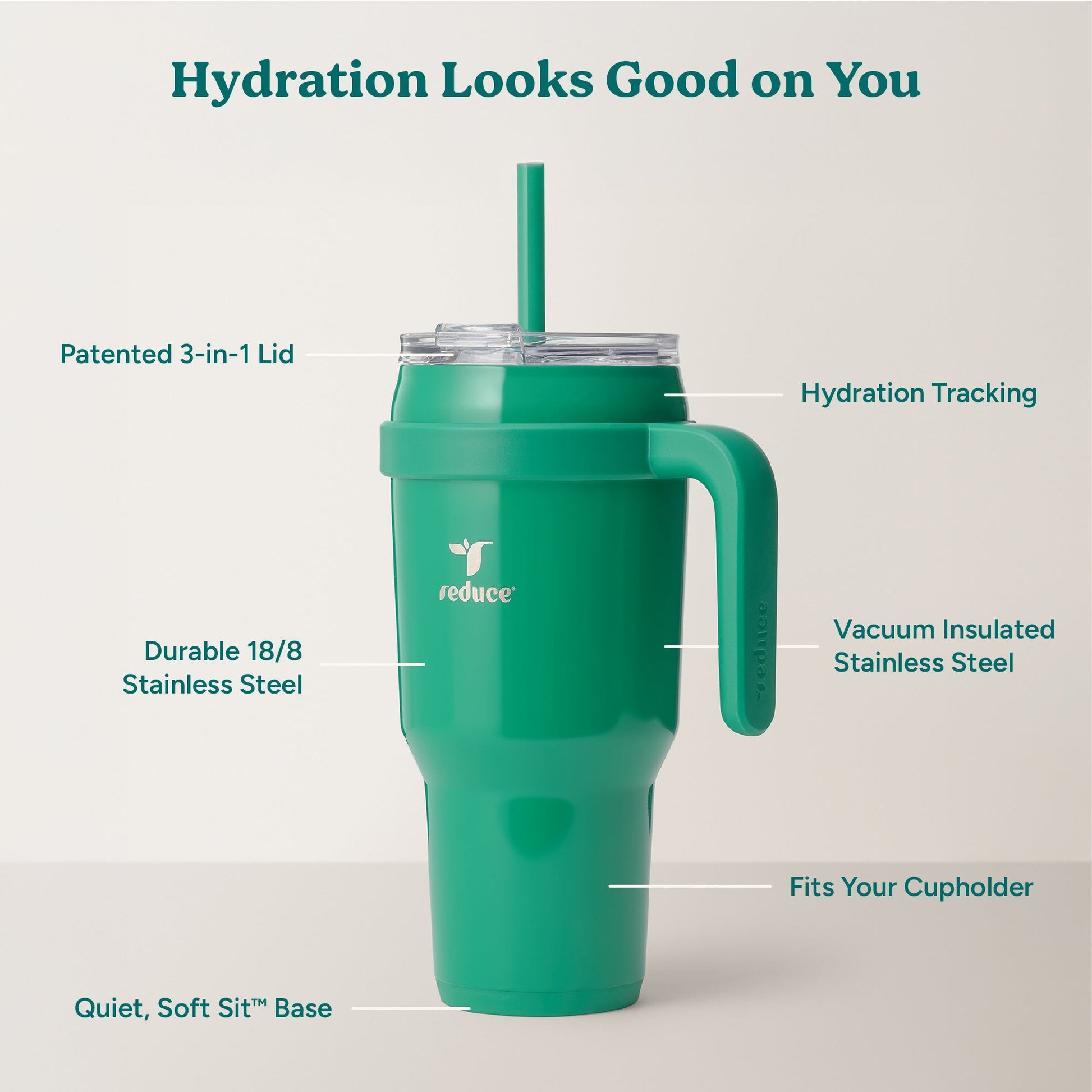 cold1-40-oz-c8 Cold1_40oz_PalmLeaf_Infographic_2.jpg