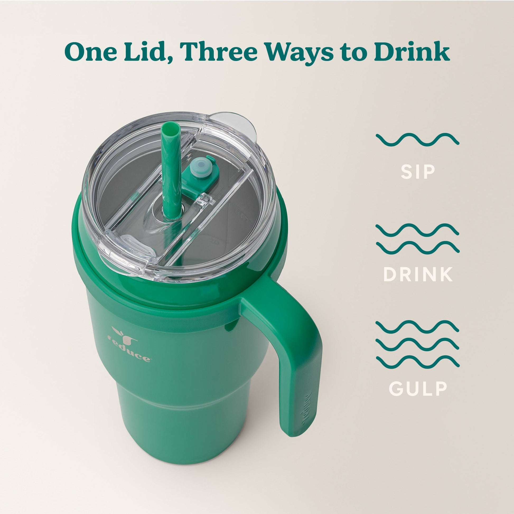 cold1-40-oz-c8 Cold1_40oz_PalmLeaf_Infographic_3.jpg