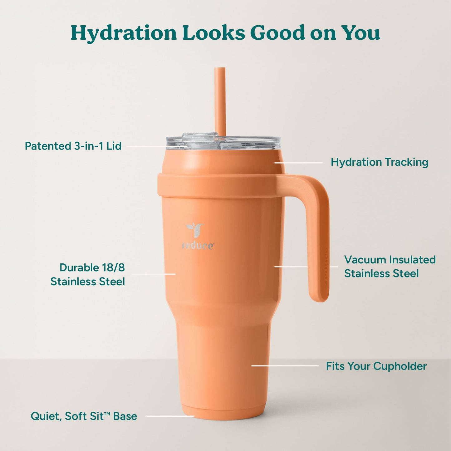 cold1-40-oz-c8 Cold1_40oz_Papaya_Infographic_2.jpg