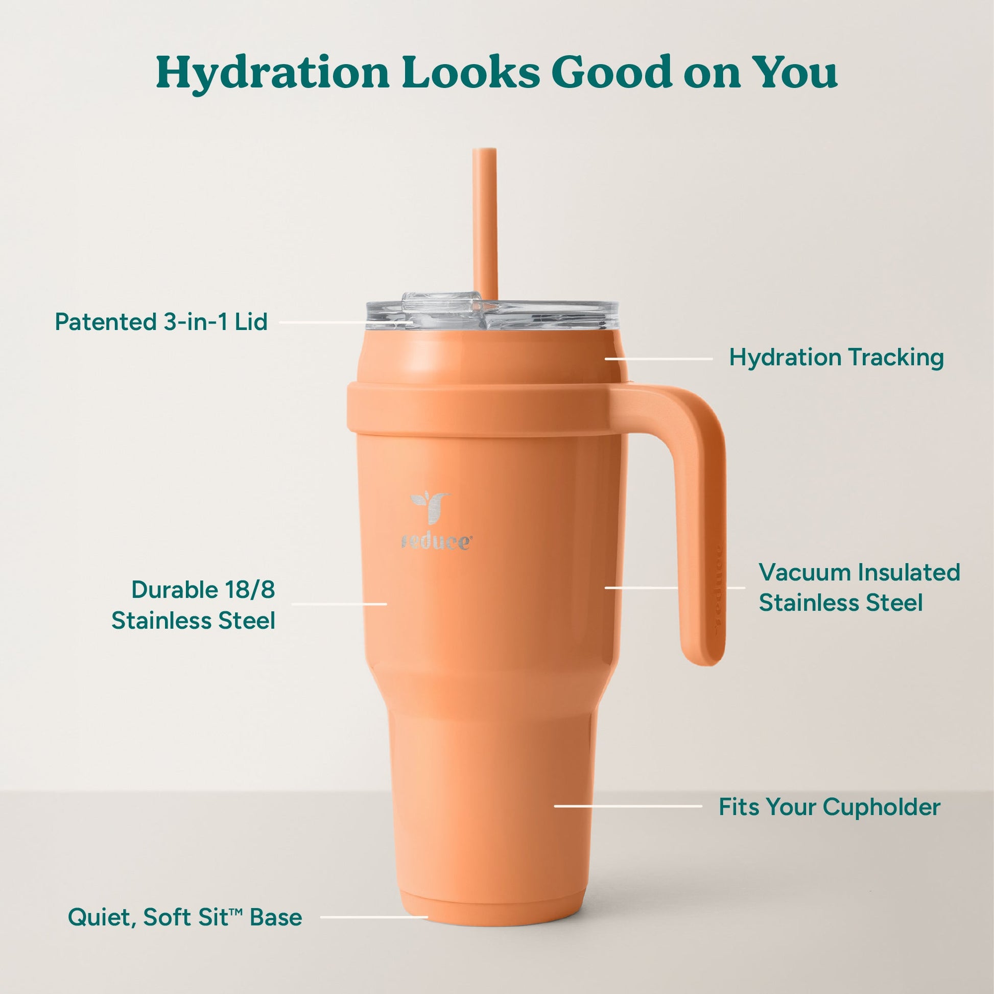 cold1-40-oz-c8 Cold1_40oz_Papaya_Infographic_2.jpg