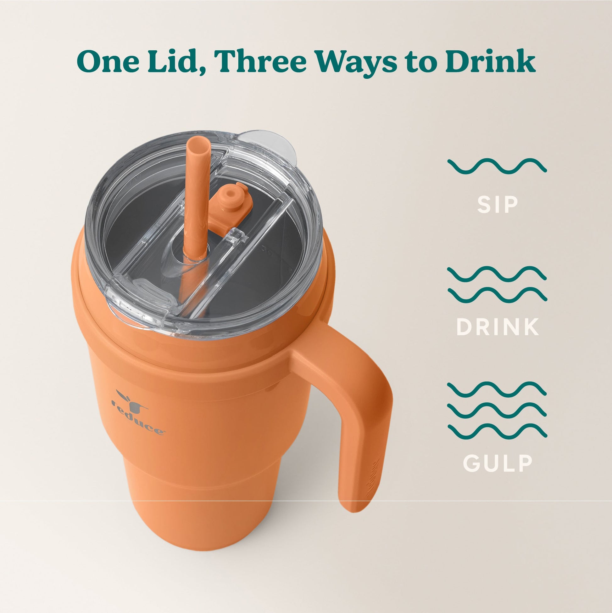 cold1-40-oz-c8 Cold1_40oz_Papaya_Infographic_3.jpg