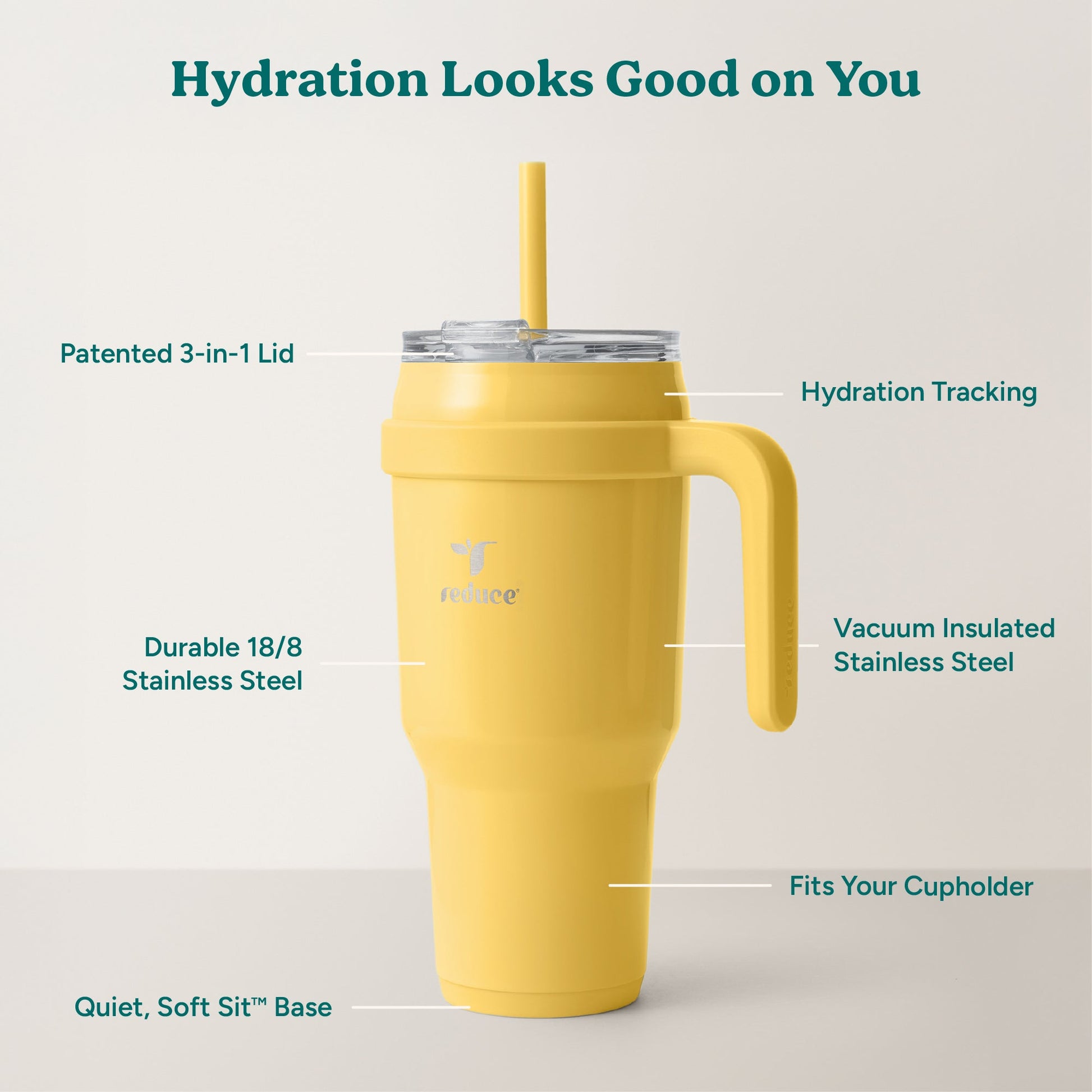 cold1-40-oz-c8 Cold1_40oz_Pineapple_Infographic_2.jpg