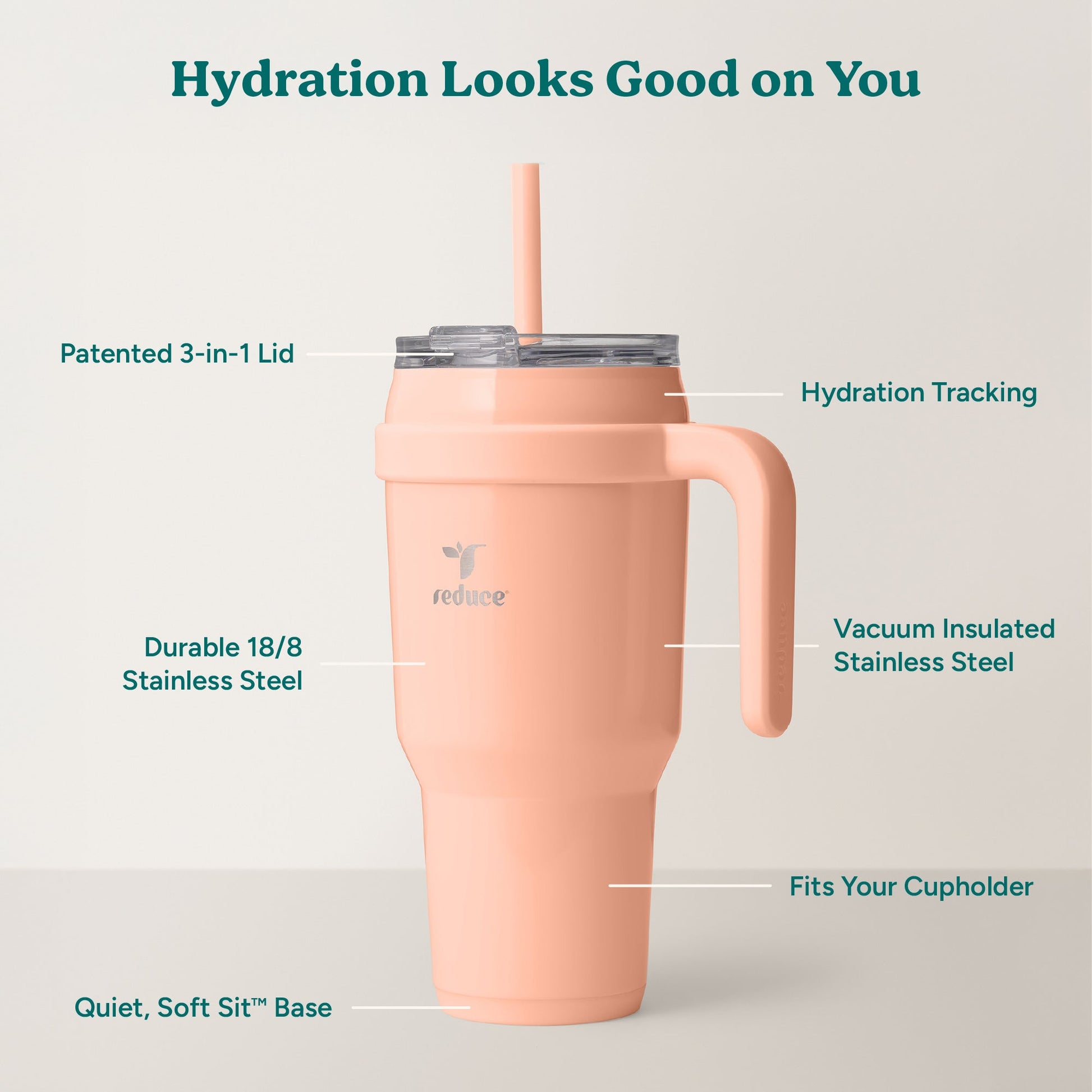 cold1-40-oz-c8 Cold1_40oz_Sedona_Infographic_2.jpg
